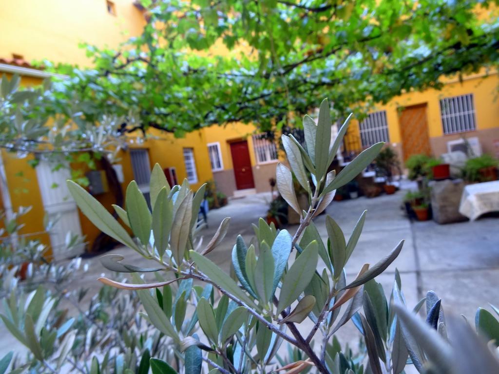 Apartment Olivar Μαδρίτη Δωμάτιο φωτογραφία